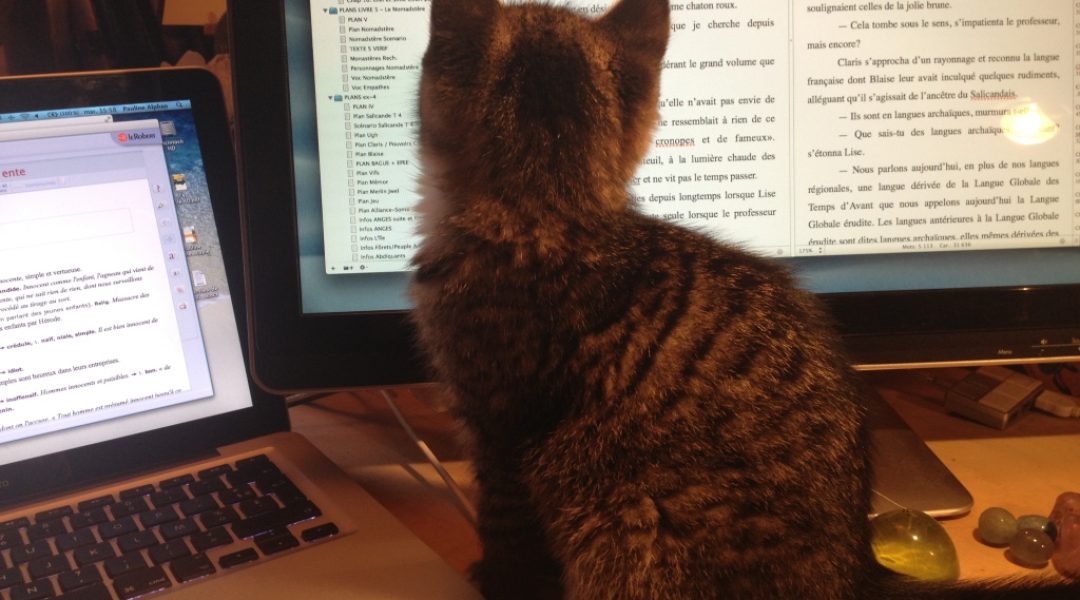 chat sur l'écran d'ordinateur de Pauline