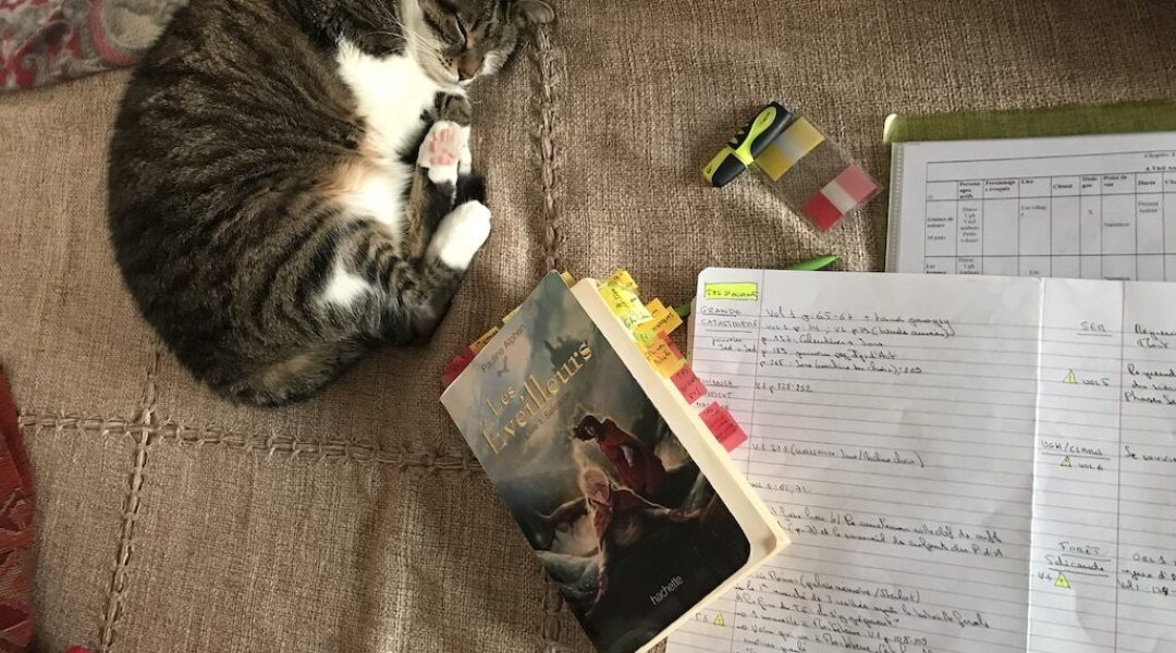 le chat le ecrire pauline