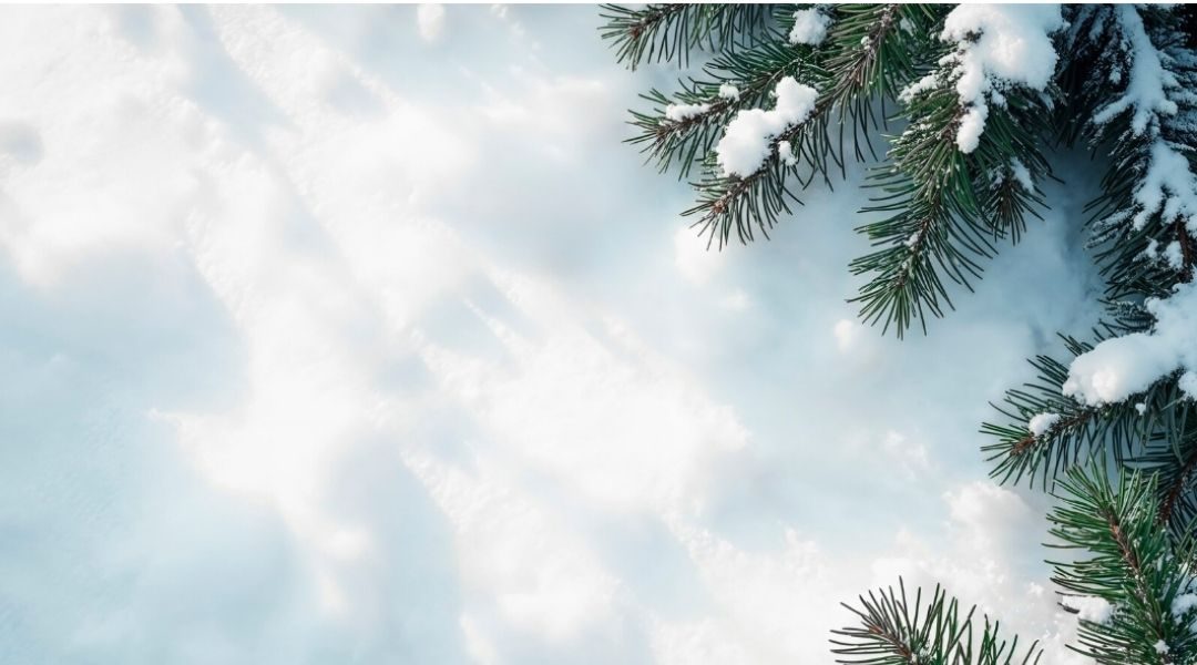 solstice temps blanc
